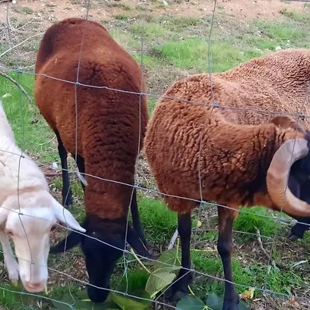 Adore Portugal - 2 Com Piscina Partilhada