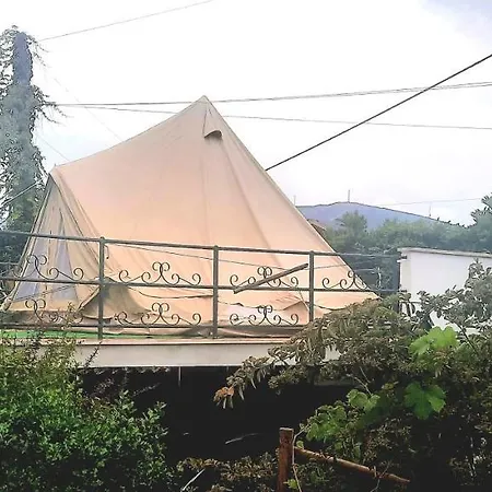 ゲストハウス Adore Portugal - 2 Com Piscina Partilhada ロウザン