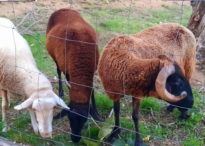 Adore Portugal - 2 Com Piscina Partilhada